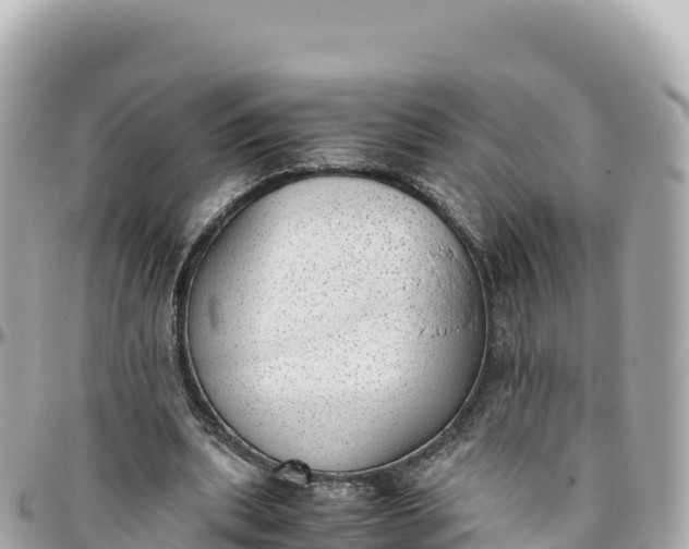 X0000095890439200801251206