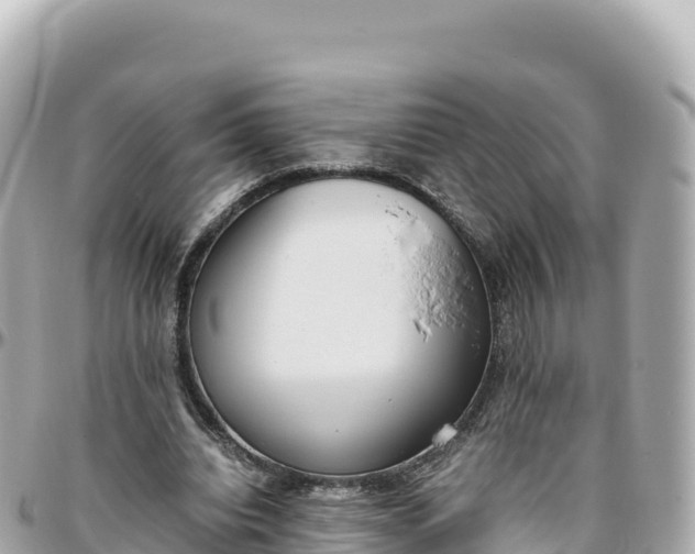 X0000095890440200801251206