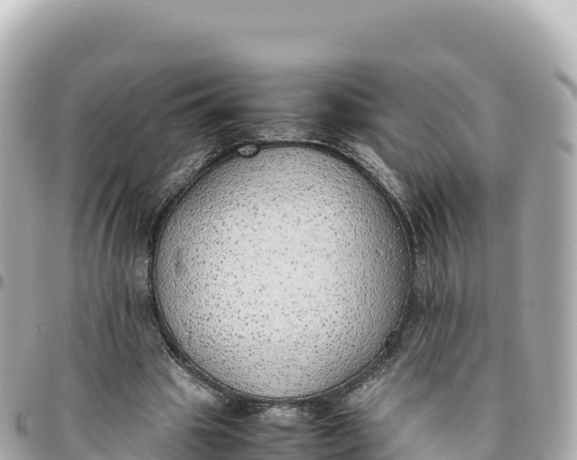 X0000095890441200801251206