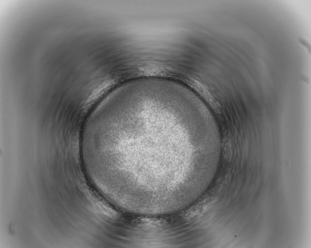 X0000095890442200801251206