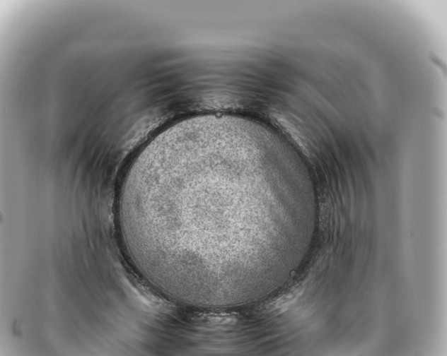 X0000095890443200801251206