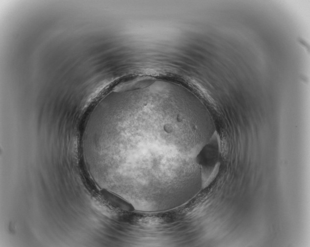 X0000095890444200801251206