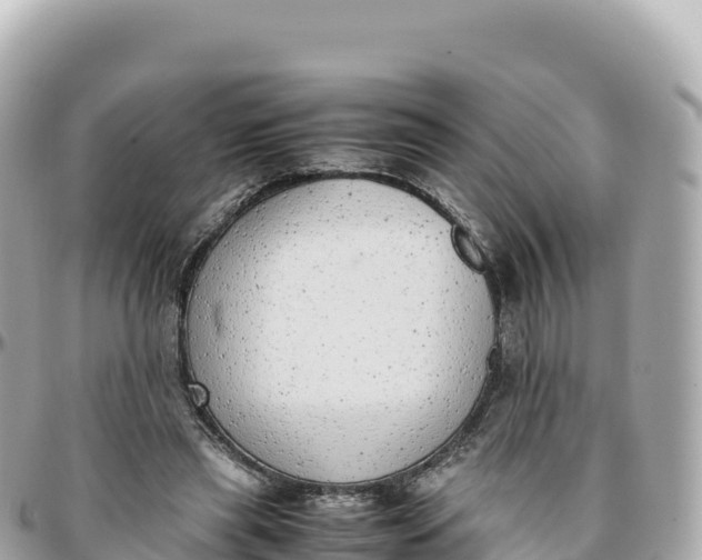 X0000095890445200801251206