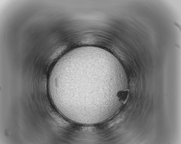 X0000095890446200801251206