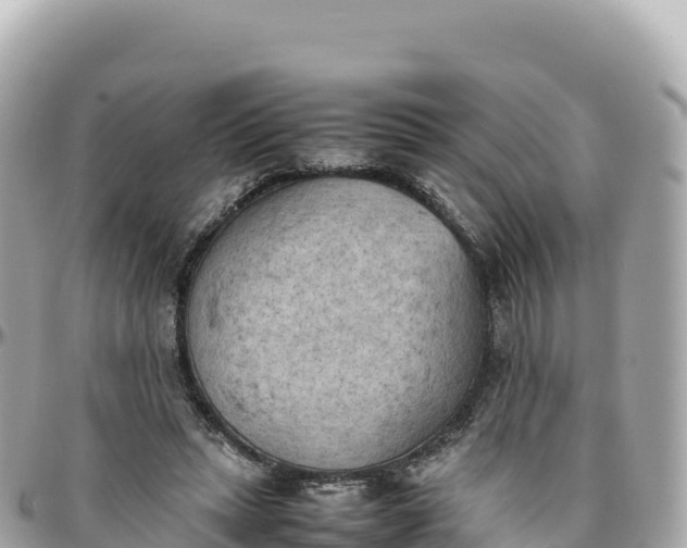 X0000095890447200801251206