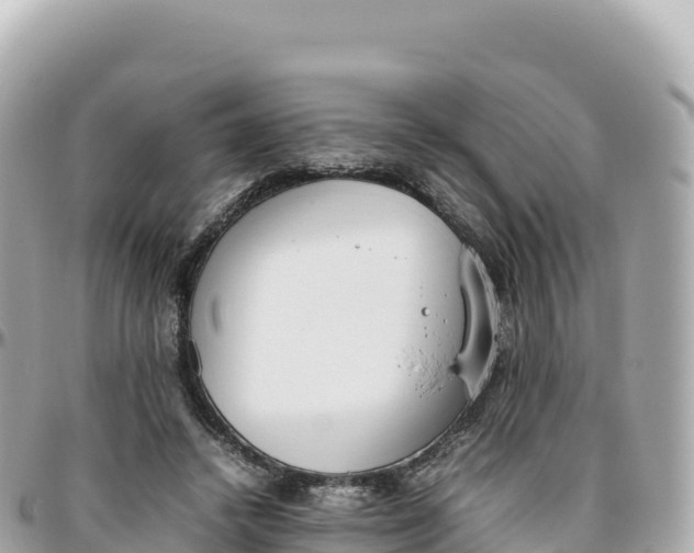 X0000095890448200801251206