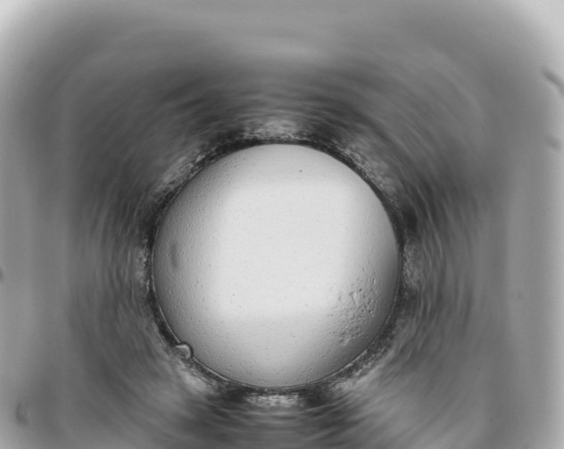 X0000095890449200801251206