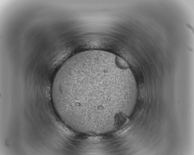 X0000095890450200801251206