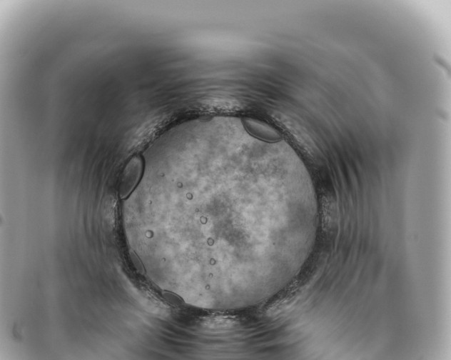 X0000095890451200801251206