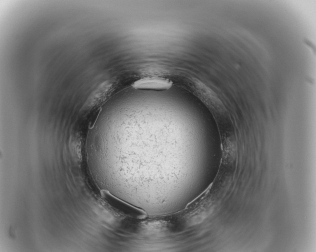 X0000095890452200801251206