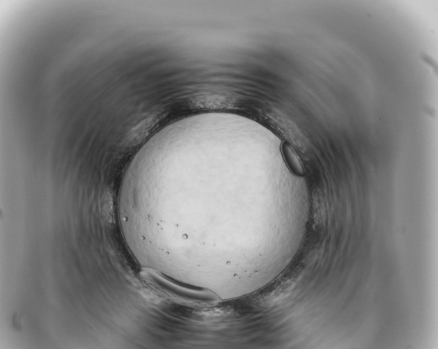 X0000095890453200801251206