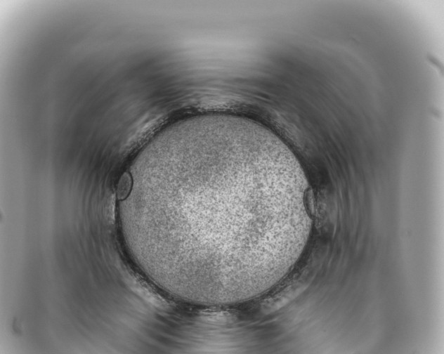 X0000095890454200801251206