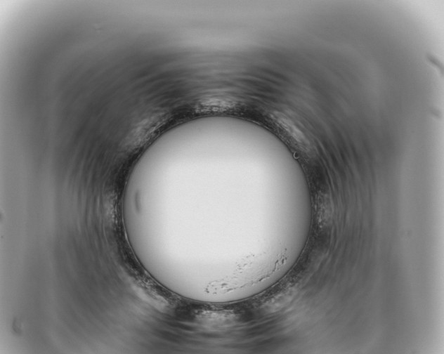 X0000095890455200801251206