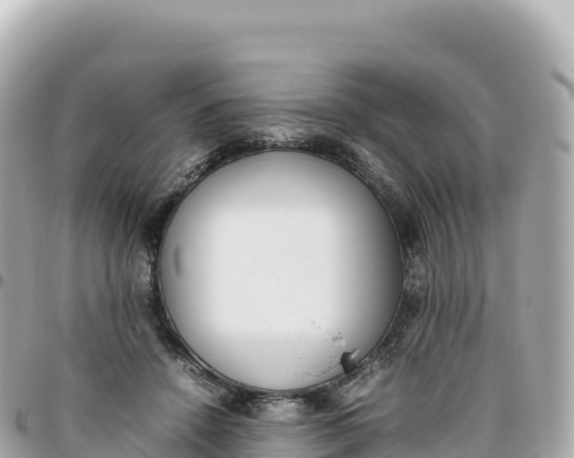 X0000095890456200801251206