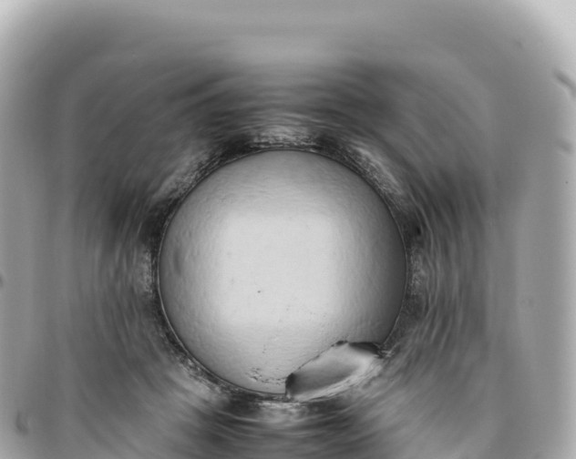 X0000095890457200801251206