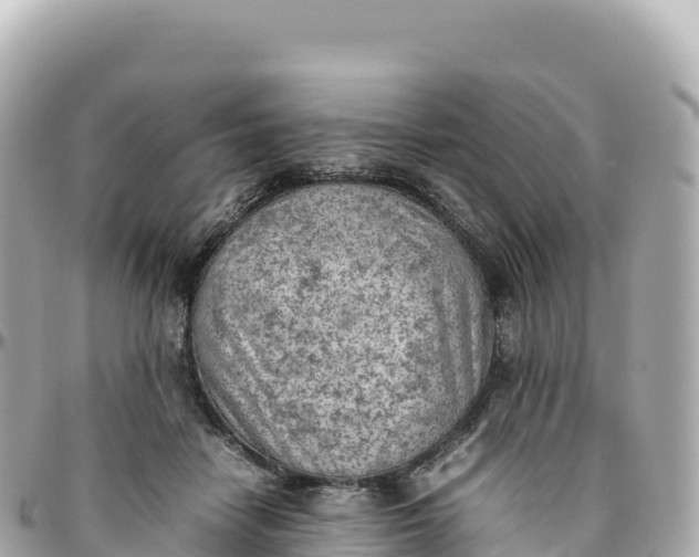 X0000095890458200801251206