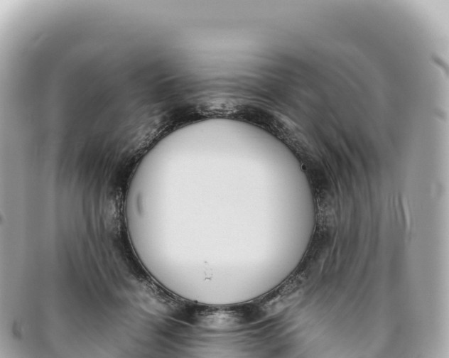 X0000095890460200801251206