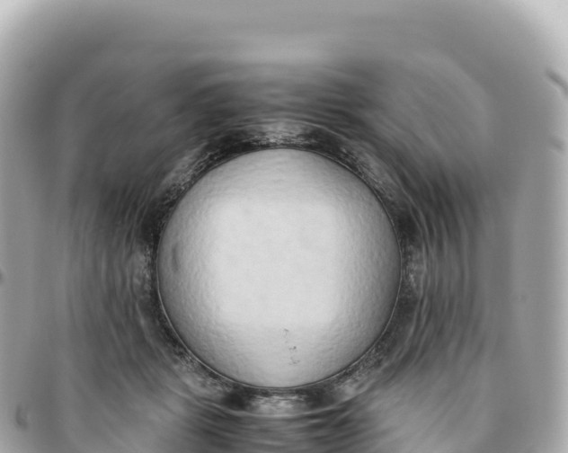 X0000095890461200801251206