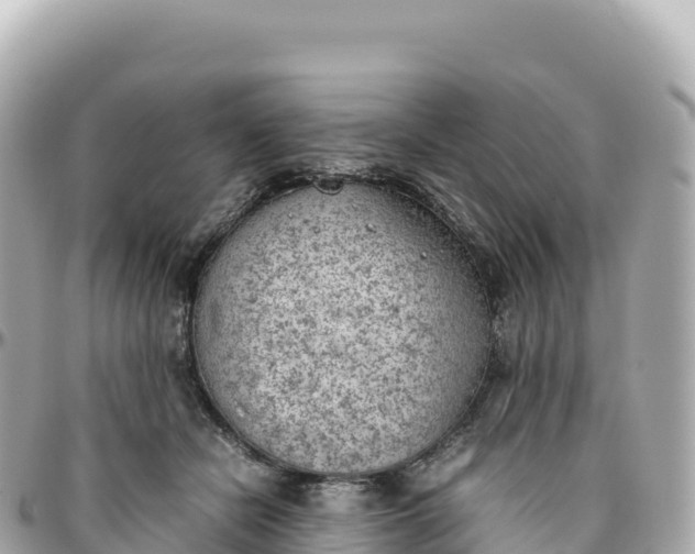 X0000095890462200801251206