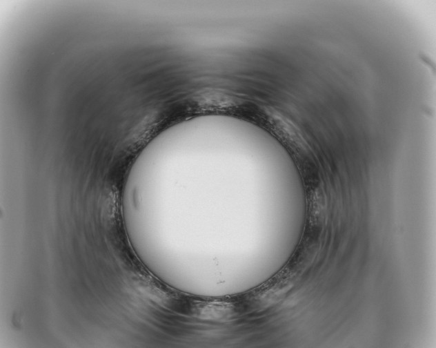 X0000095890463200801251206