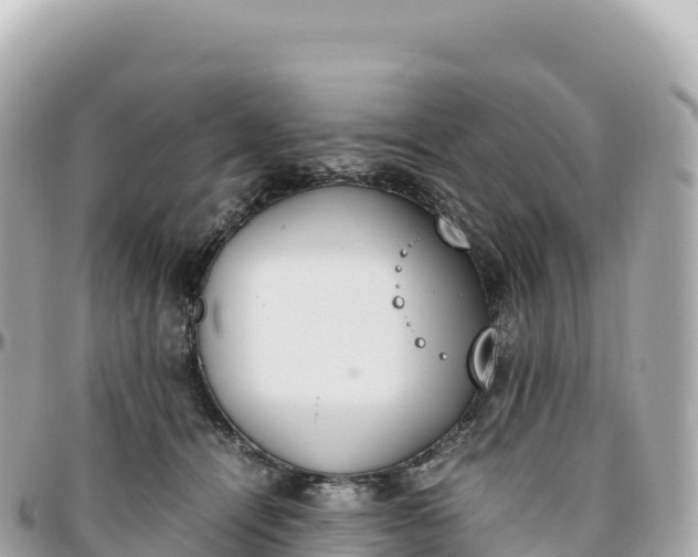 X0000095890464200801251206