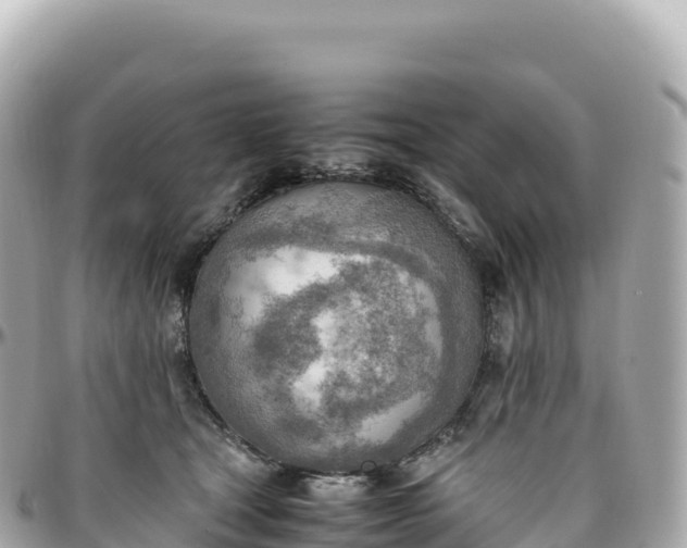 X0000095890465200801251206