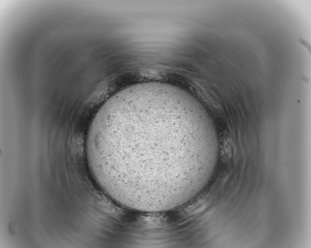 X0000095890466200801251206