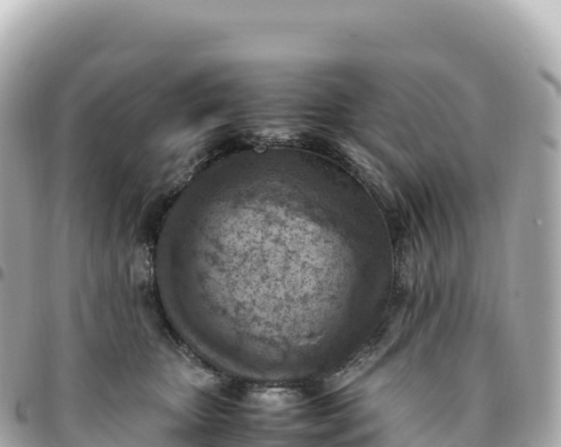 X0000095890467200801251206