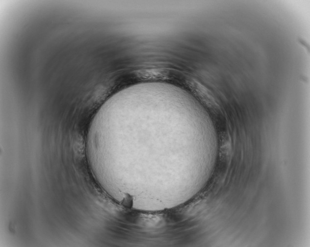 X0000095890469200801251206