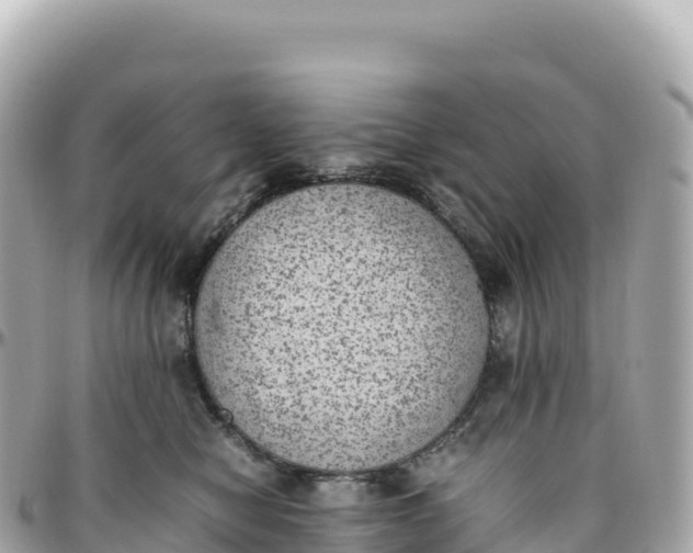 X0000095890470200801251206