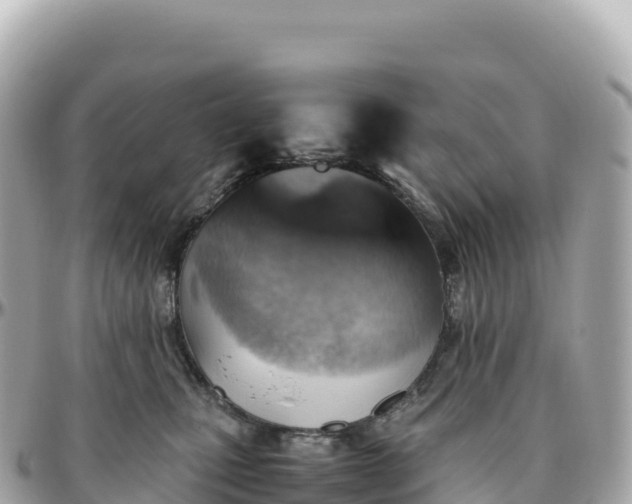 X0000095890471200801251206