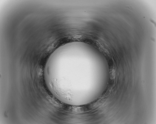 X0000095890472200801251206