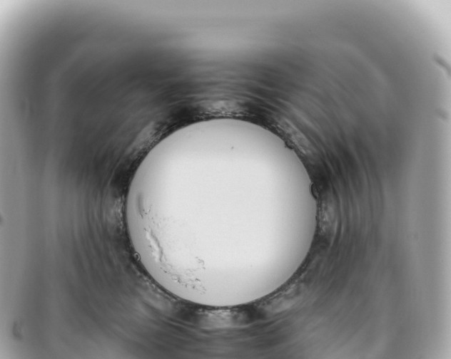 X0000095890473200801251206