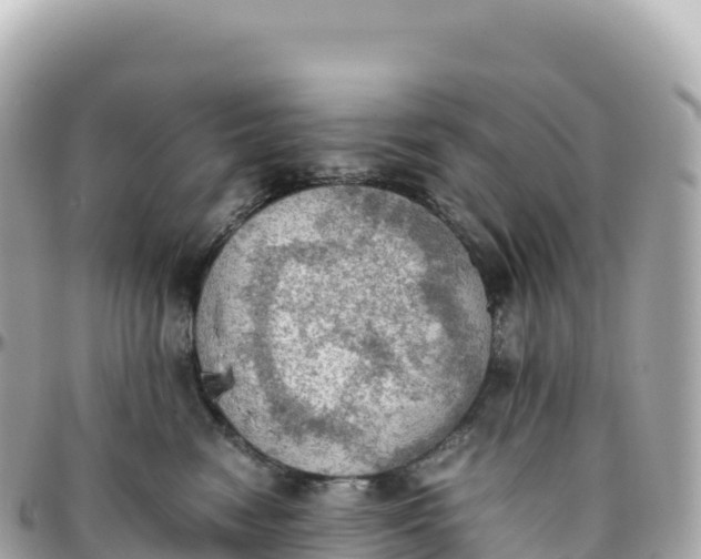 X0000095890474200801251206