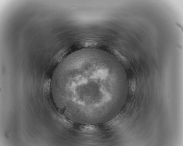 X0000095890475200801251206