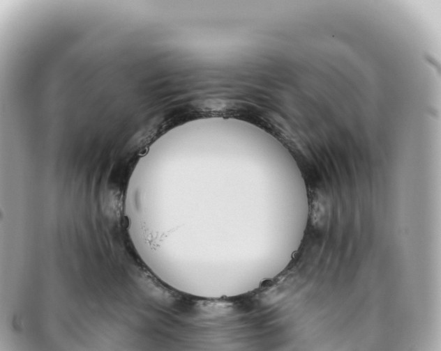 X0000095890476200801251206