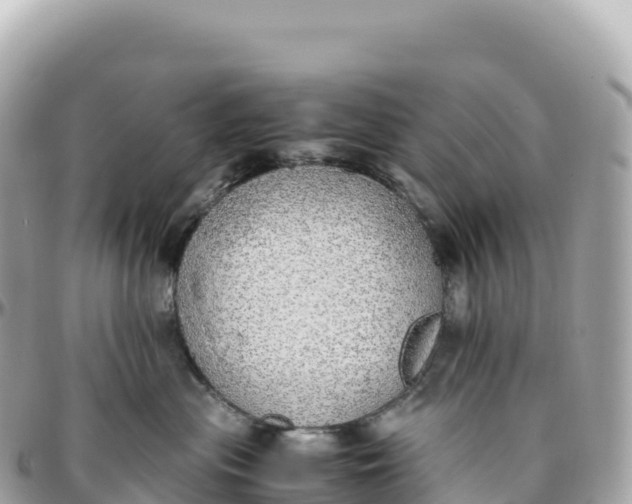 X0000095890477200801251206