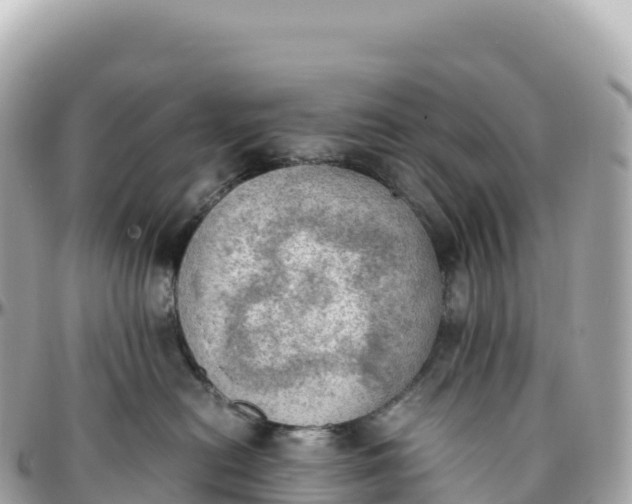 X0000095890478200801251206