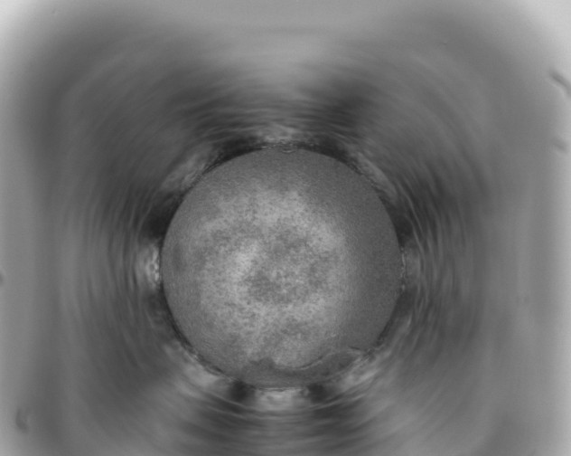 X0000095890479200801251206