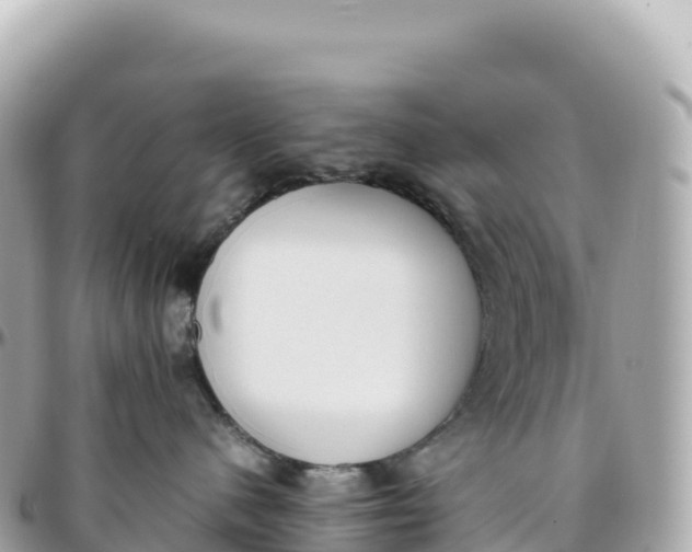 X0000095890480200801251206