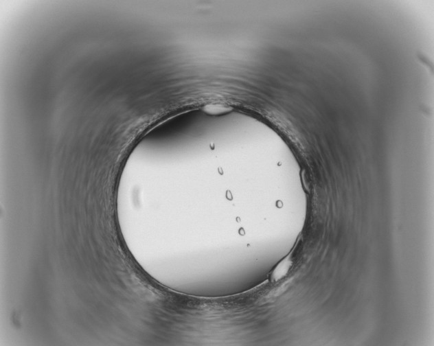 X0000095890481200801251206