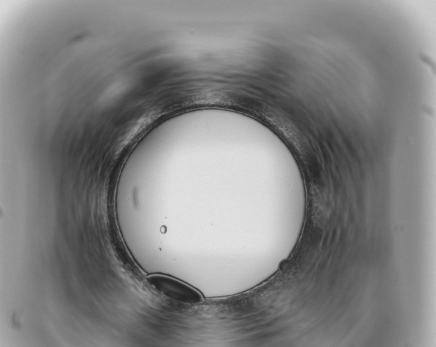 X0000095890482200801251206