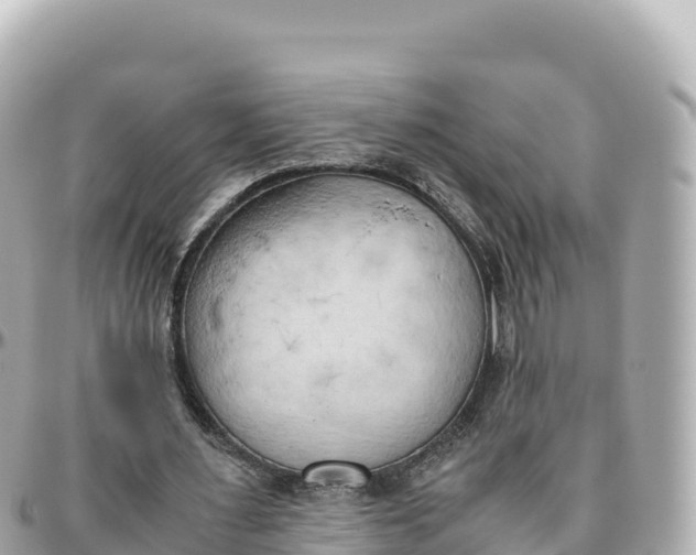 X0000095890483200801251206