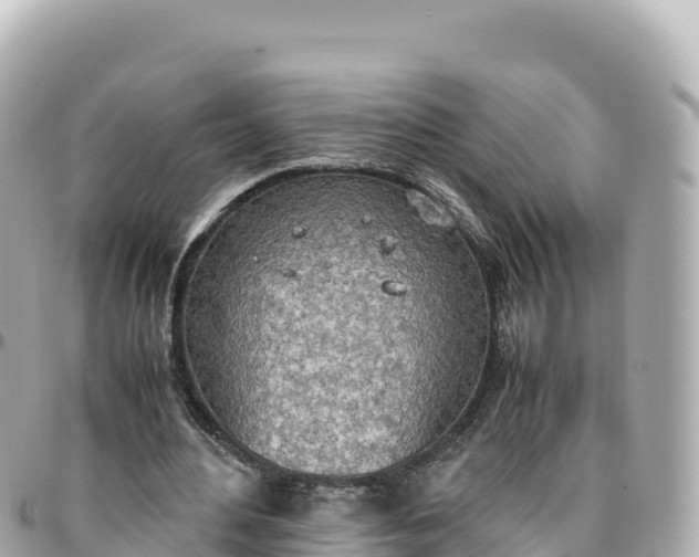 X0000095890484200801251206