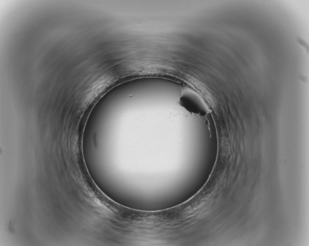 X0000095890485200801251206