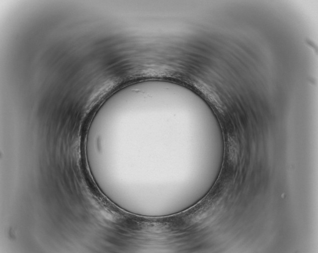 X0000095890486200801251206