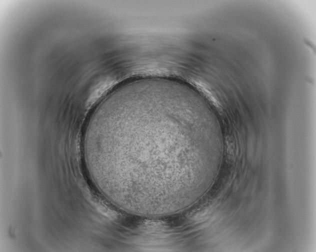 X0000095890487200801251206