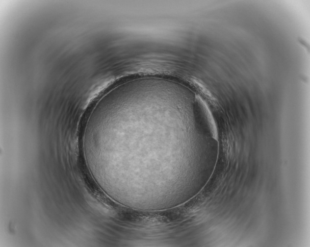 X0000095890488200801251206