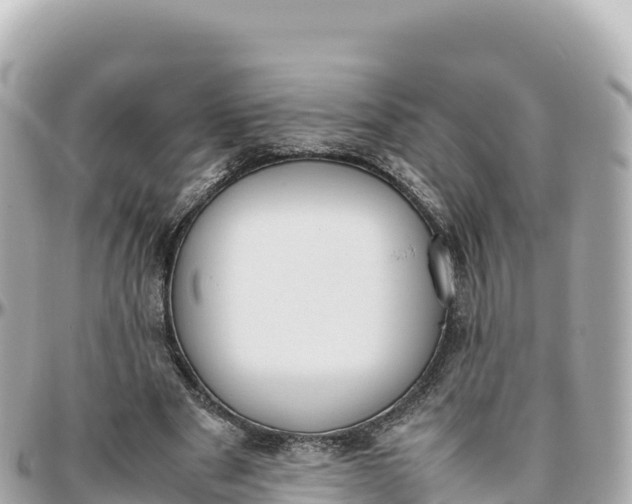 X0000095890489200801251206