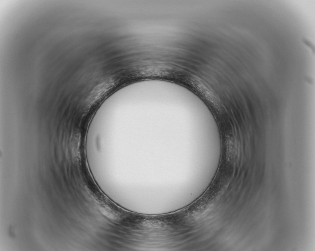 X0000095890490200801251206